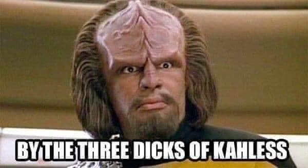 This meme is a photo of a character from the Star Trek franchise, Worf, with a confused expression. The text overlayed on the image reads "By the Great Klingon Bird of Prey, I am confused" and then "By the three gods of Klingon, I am confused". The meme is a humorous take on the Klingon phrase "By the gods", often used to express shock or confusion.